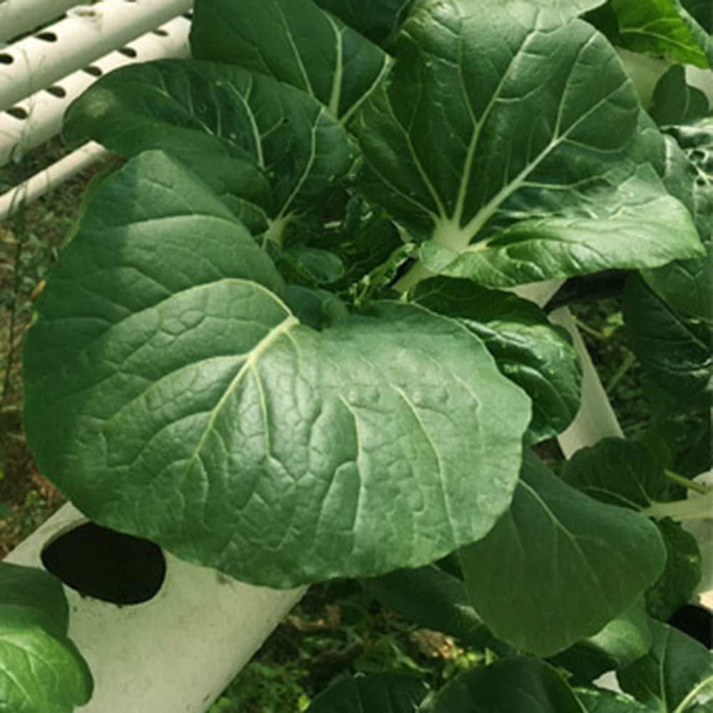 1vrstvá sada pro hydroponické pěstování s 54 květináči, systémy pro pěstování bez půdy z PVC s vodní pumpou, sady pro hydroponické pěstování pro pěstování zeleniny a ovoce na balkónech, zahradách, terasách a dvorcích