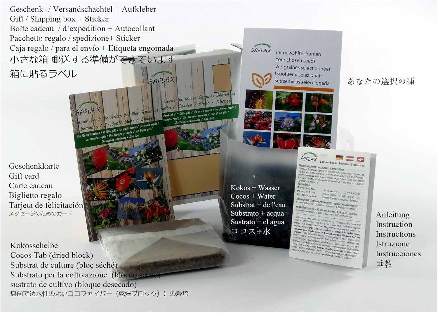 SAFLAX - Geschenk Set - Kakteen - Madagascar - Palme - 10 Samen - Mit Geschenk- / Versandbox, Versandaufkleber, Geschenkkarte Und Anzuchtsubstrat - Pachypodium Lamerei