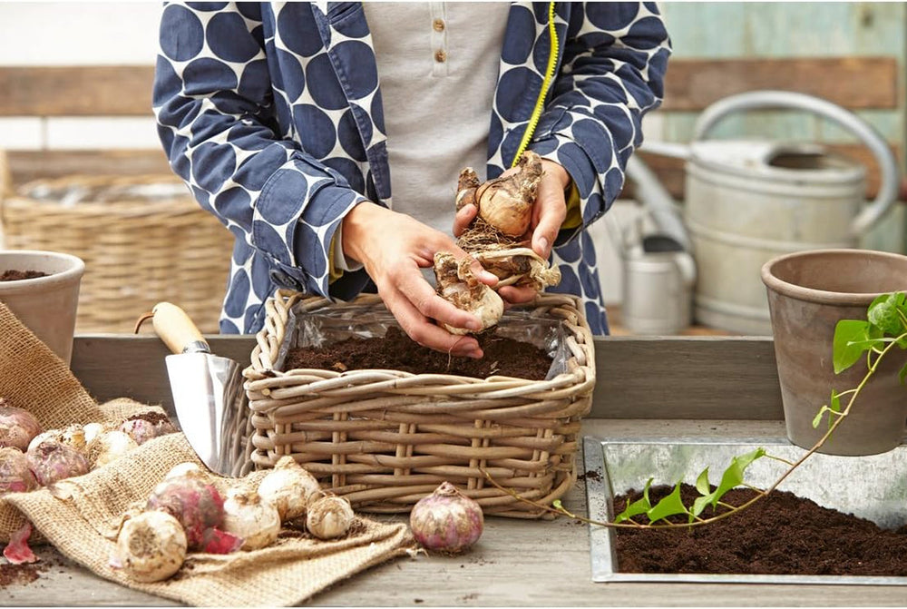 Ghiveci Dehner din ratan, aprox. 40 x 23 x 20 cm, țesătură de ratan, gri/maro