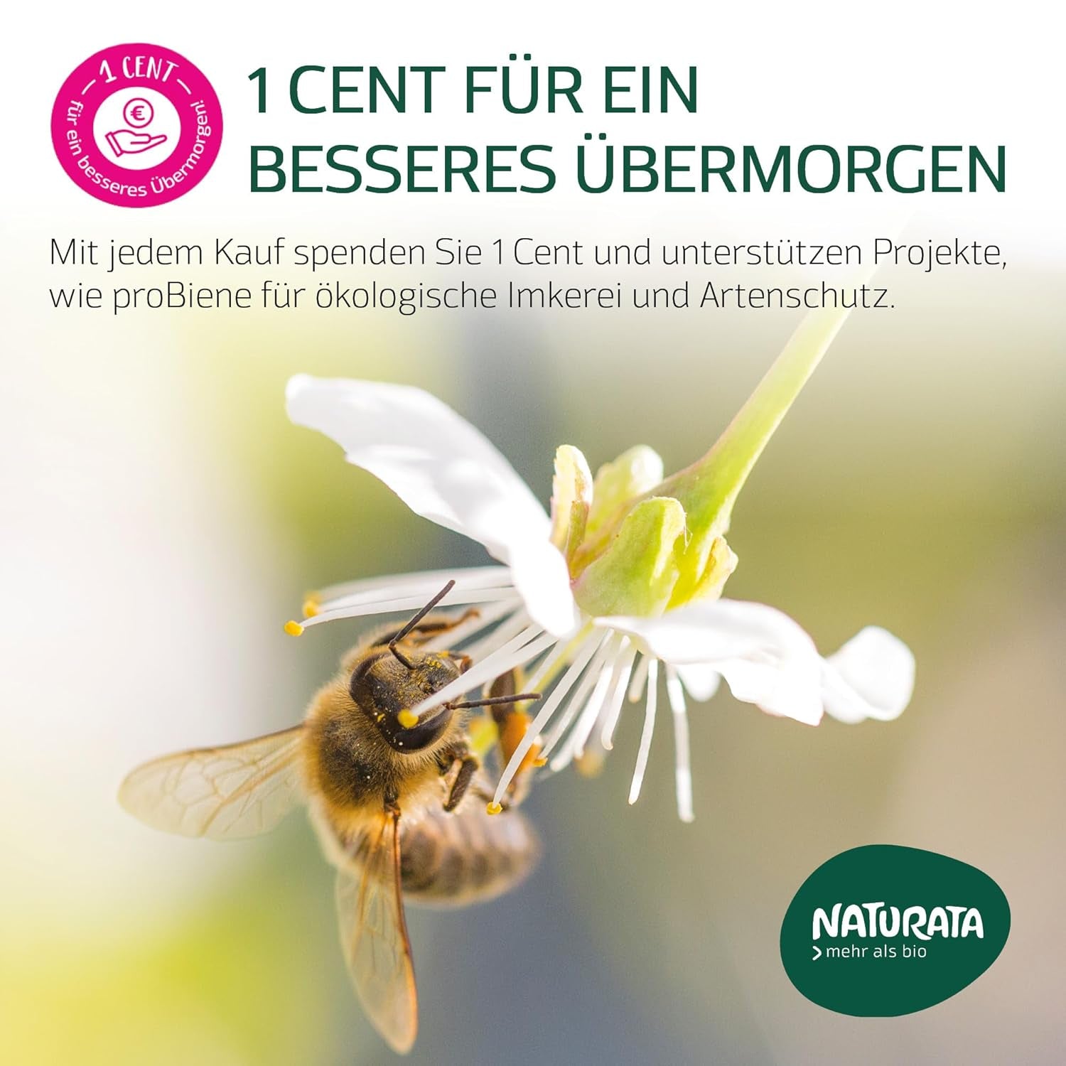 BIO celošpaldové pláty lasagní, 250g | Demeter kouzlo ze Švábských Alp | Jemná ořechová příchuť pro lasagne a kastrol