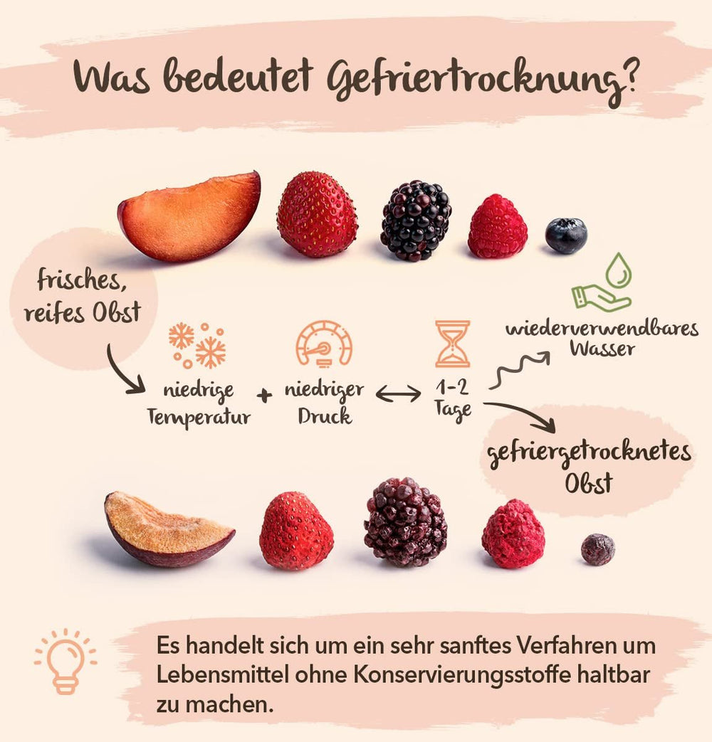 Fructe liofilizate BRIX | Amestec natural, uscat, de fructe tropicale 80 g | Premiul Great Taste pentru fructe uscate | Fără OMG, fără gluten, vegan, vitaminele sunt păstrate Produse deshidratate Naty Shop