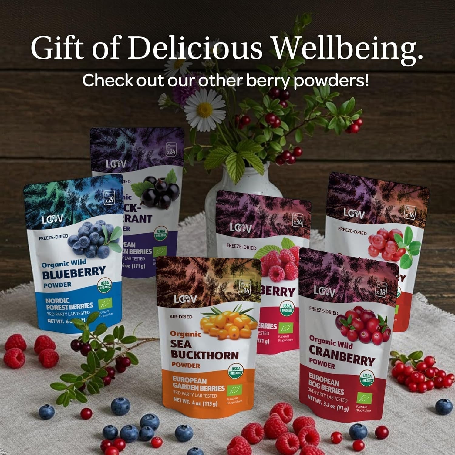 LOOV Organic Wild Blueberry Powder - rezervă pentru 29 de zile, 171 g, bună pentru smoothie-uri și mic dejun, congelată și uscată, din Europa de Nord, fără zahăr adăugat Produse deshidratate Naty Shop