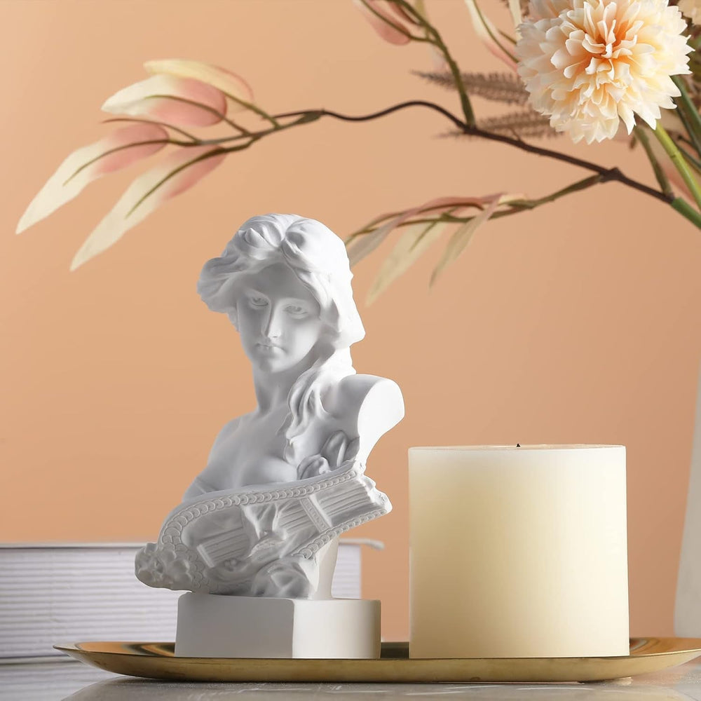 XMGZQ White Aphrodite Statue Sculpture, Resin Greek Mythology Bust Statue, for Coquette Room Decoration, Dark Academia Room Decoration, Bookshelves, Partition, Coffee Table Centrepiece Statuete si sculpturi Naty Shop